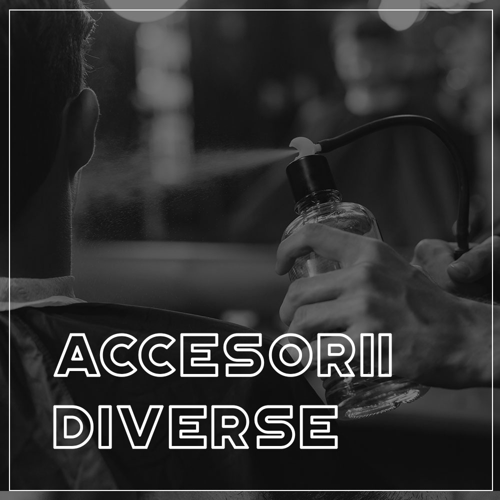 Accesorii diverse